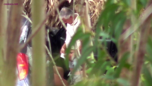 Escort receives pussy sex