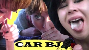 Swallow on the street between teen chick