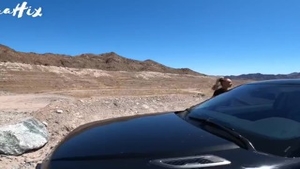 'Pull Over And sperm Inside Me Daddy '