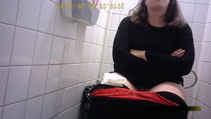 Teen receives upskirt rough sex in toilet